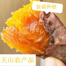 蜜薯 新疆天山红薯 新鲜地瓜糖心烤红薯 应季营养农产品