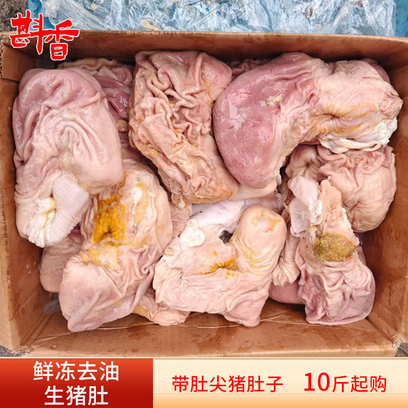 新鲜冷冻带肚尖生猪肚10~20斤商用批发全肚猪肚鸡煲汤生鲜食材
