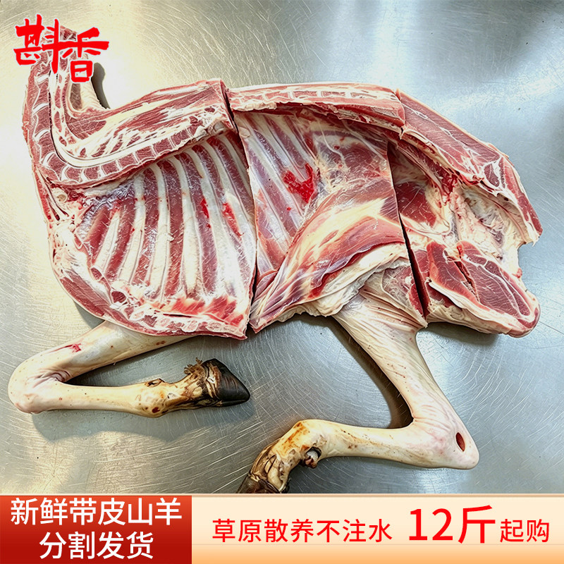 新鲜带皮山羊整只羊半只羊肉正宗内蒙散养白条羊冷冻生羊肉