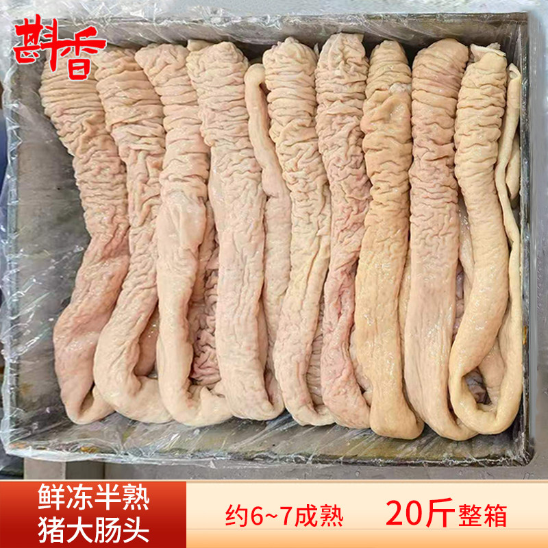 新鲜冷冻半熟猪大肠头20斤整箱肠头餐饮商用卤菜食材