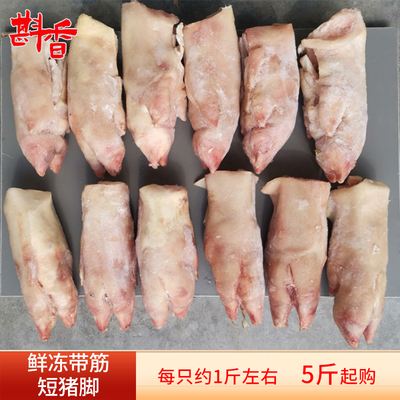 新鲜冷冻带筋短猪蹄5-20斤商用前后脚猪脚生猪手猪爪烧烤生鲜食材