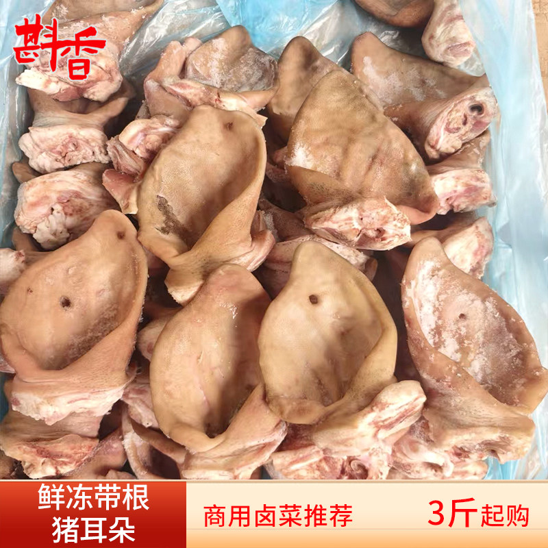 新鲜冷冻带根猪耳朵3~20斤商用生猪耳餐饮卤菜生鲜食材