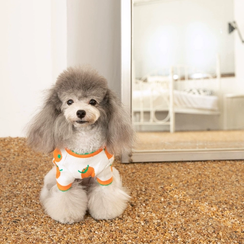 Маленькая плюшевая плюса Panda Dog Pet Pet Clothing свитер пуговица жилет жилет осень и зимний стиль маленький щенок