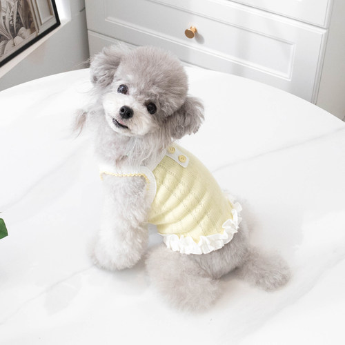 春夏薄款小型犬幼犬短款公主裙