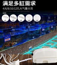室内打氧泵打氧机养虾养鱼鱼池小1