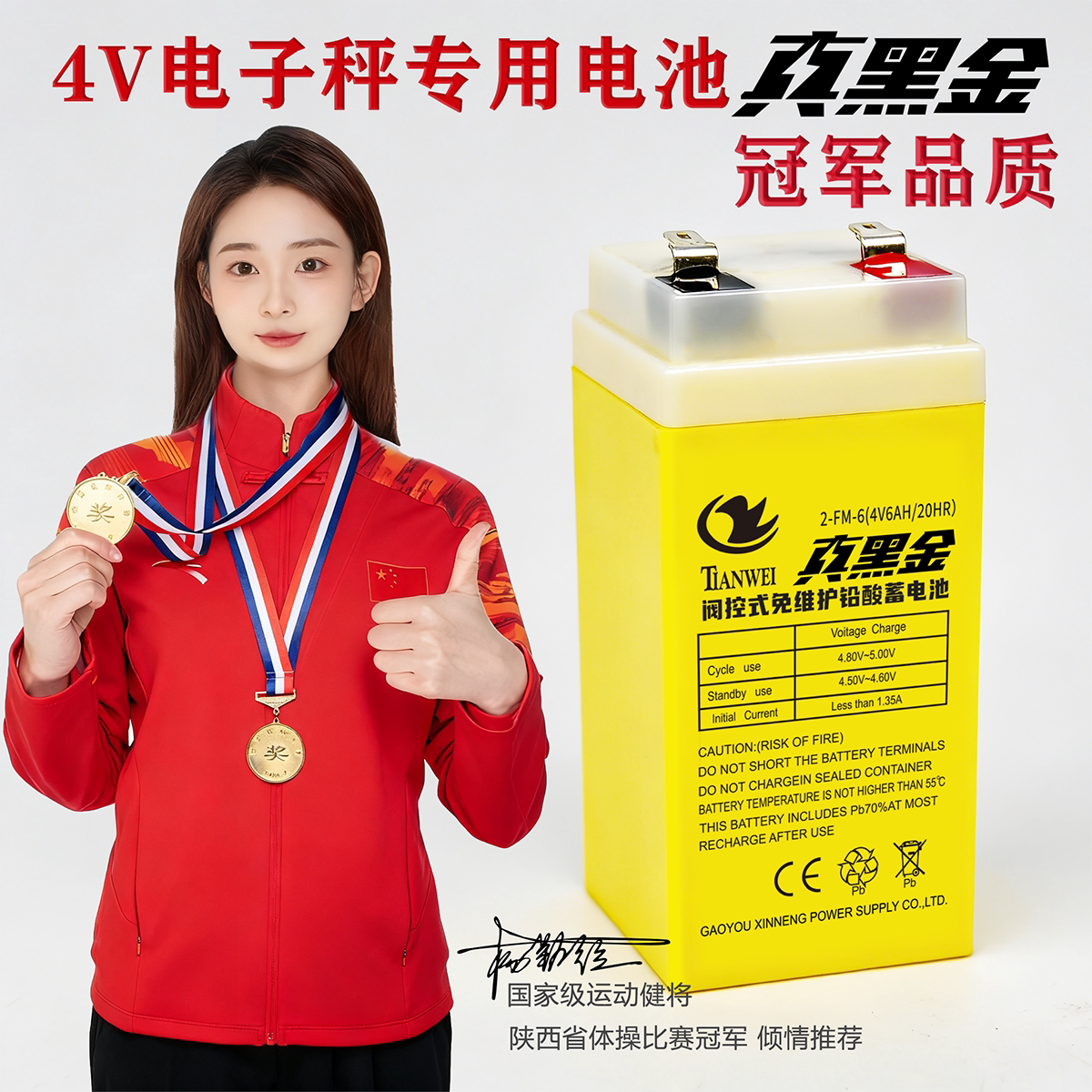 电子秤电池通用大容量商用台秤电瓶精准台式4v4ah电子称蓄电池