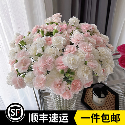 康乃馨家庭办公室母亲女神节鲜花