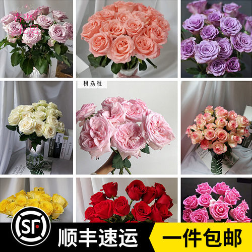 新香槟玫瑰质量怎么样 新香槟玫瑰口碑怎么样 小麦优选