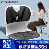 OES护腰坐垫久坐矫正坐姿神器有哪些品牌？