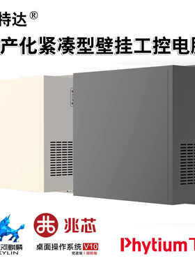 兆芯先开6780A飞腾锐D2000/8CPU麒麟系统国产化信创工控电脑主机