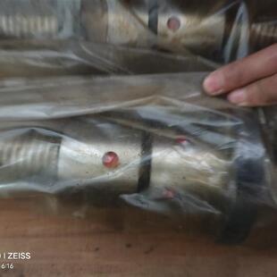 议价 南京工艺机床丝杆 FFZD4005LH  长1750mm 二