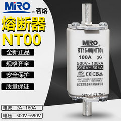 熔芯RT16-00 NT00 500V690V40A50A63A80A100A125A150A160A熔断器