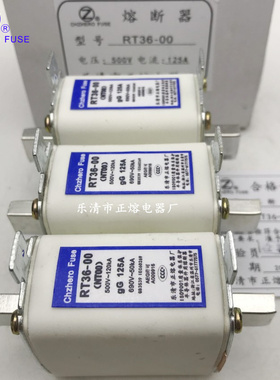 NT00/RT36-00 60A 63A 80A 100A 120A 125A 150A 160A熔断器正熔
