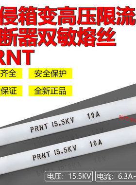PRNT 10A 16A 20A 25A 31.5A 40A 50A 63A 80A 100A 125A双敏熔丝