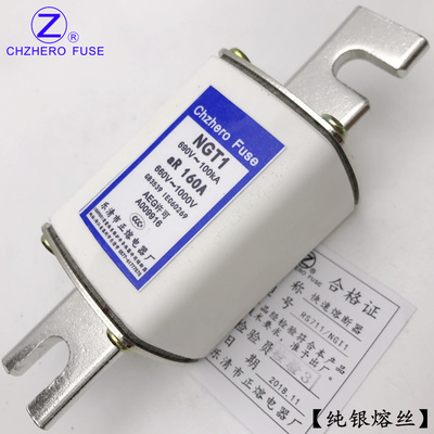NGT1-80A100A125A150A160A200A250A快速熔断器660V690V1000V正熔