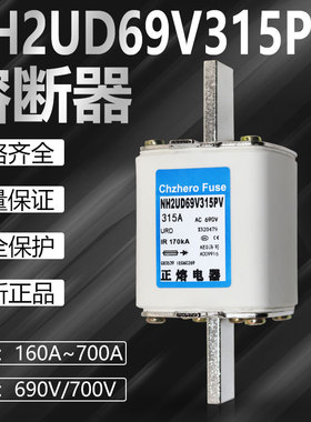 熔断器NH000/NH00/NH0/NH1/NH2/NH3UD69VPV熔芯保险丝690V700V