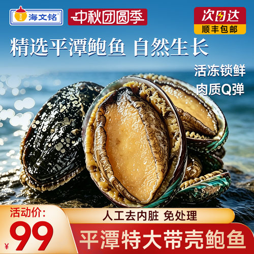 海文铭带壳大鲍鱼新鲜冷冻500g