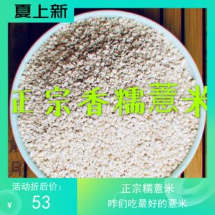 正宗三明特产  宁化糯薏米 2斤装包邮