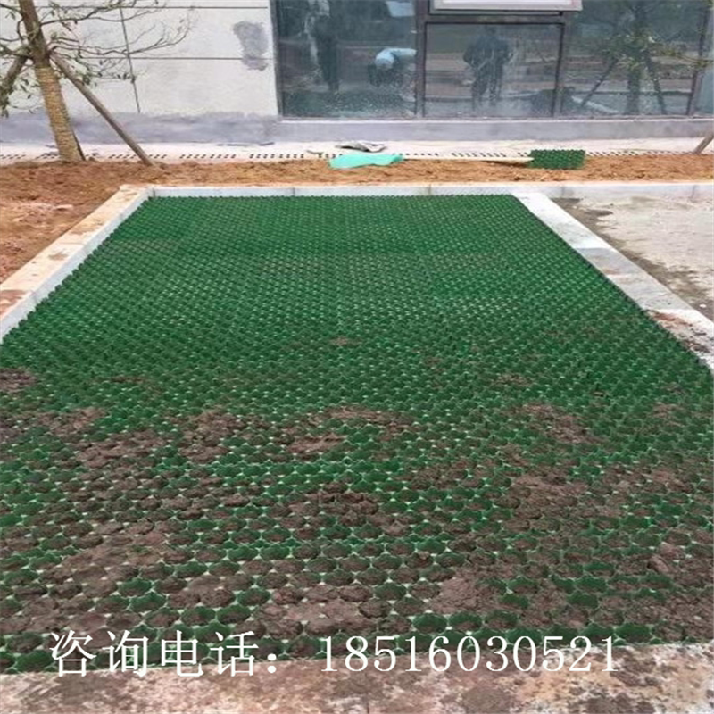 停车场绿化用植草格乡间小道小车停车位绿化耐压塑料草坪砖上海