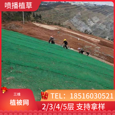 液压喷播种植三维植被网公路坡面绿化工地建材覆盖网堤坝河道治理