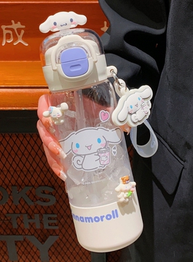 三丽鸥水杯女高颜值2025新款双饮吸管杯子便携tritan学生上学专用