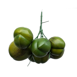 仿真椰子果假椰果仿真椰子树果实模型海南热带风情道具假水果道具