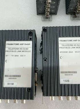 TELEPERM-XS-SLM2光电转换模6FK5381-8