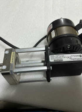 英国 CharlesAusten