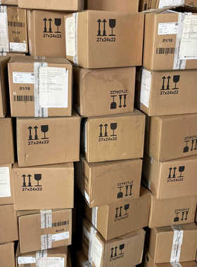 德国WIKA威卡密度计PGS21.100