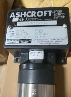 美国雅斯科Ashcroft 压力开关 D424B
