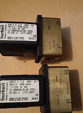 宝德电磁阀6013 A 3.0 NBR MS Rp1/4