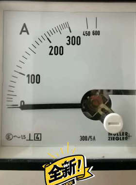 moller ziegler电流表。300A