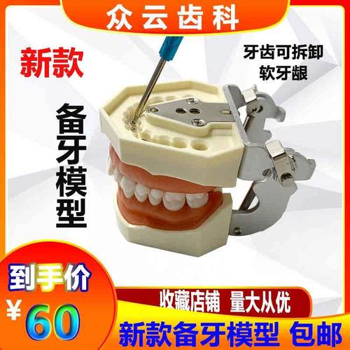 牙科备牙模型口腔j考试学生练习制备窝洞嵌体冠可拆卸牙齿开髓排