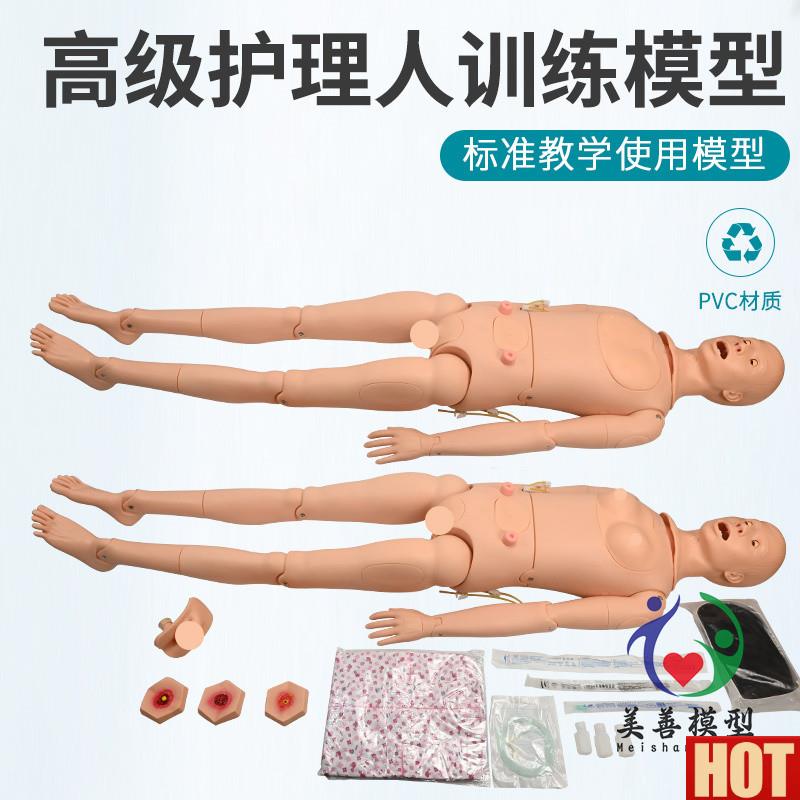 功能高级护理人体a模型男女导尿模型带内脏褥疮口鼻插管吸痰洗胃