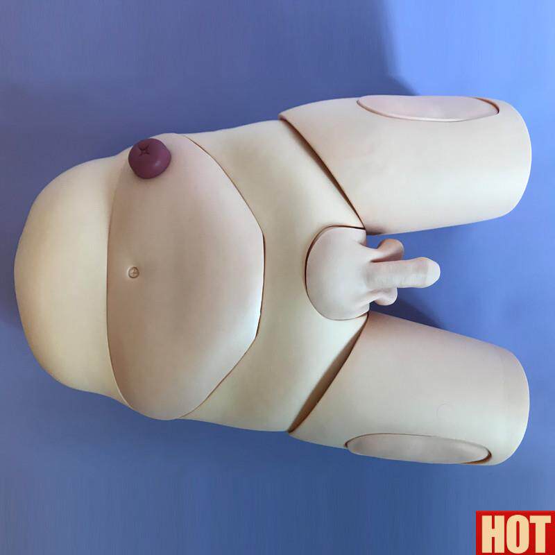 级男女性别u导尿模型生殖器官可互换护理操作训练示教模具造瘘口