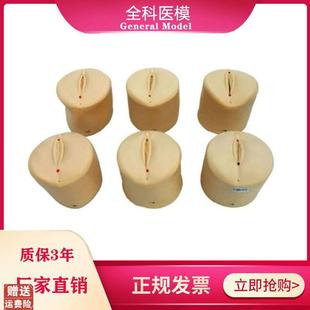 产前宫颈口变化模型宫颈扩张教具B分娩产道医学用妇科教学模型模