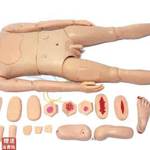 全功能护理仿D真标准化模型人