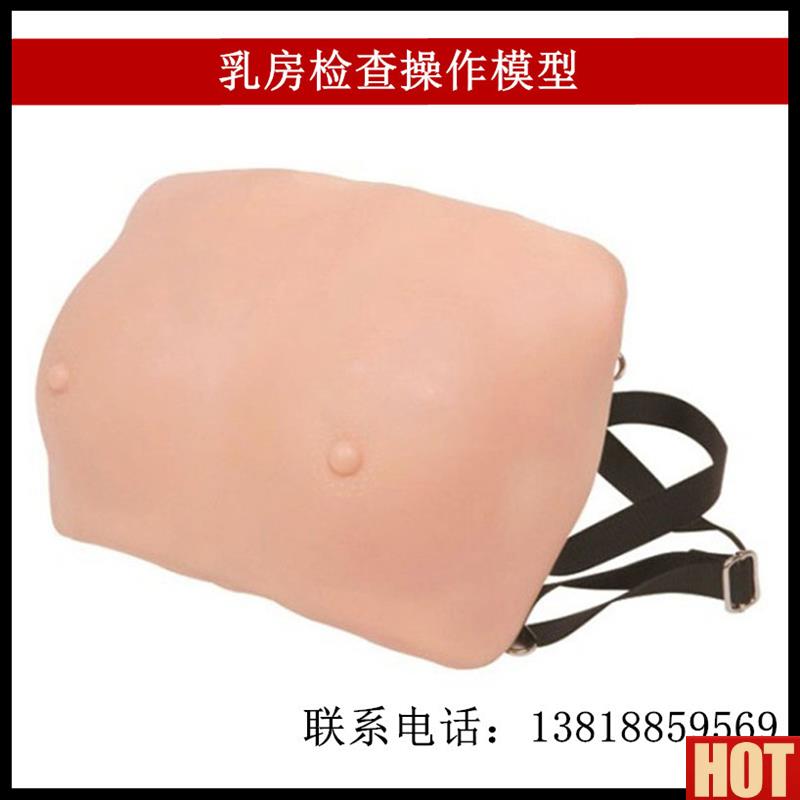 戴式乳房训练检查模型 乳房病理示教教具医用人体Q结构橡皮人