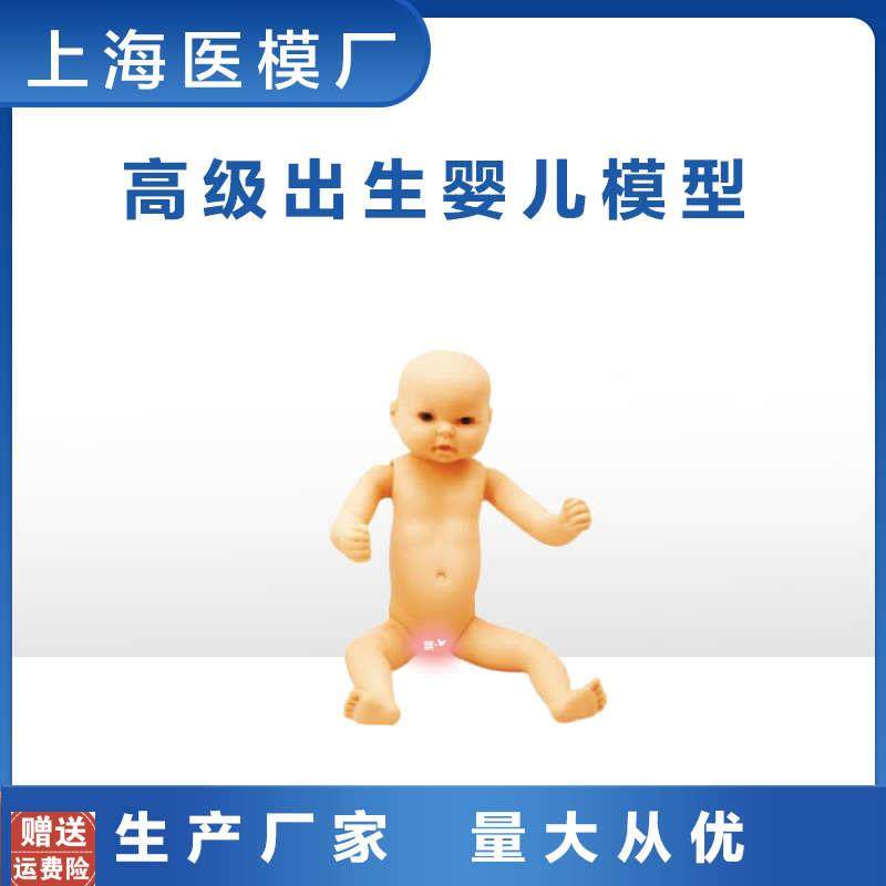家政培训教学模型全身出生婴儿模型(男婴/M女婴任选柔软型)FT3