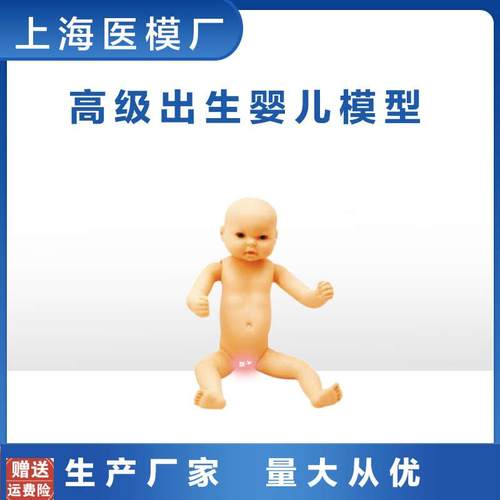 家政培训教学模型全身出生婴儿模型(男婴/M女婴任选柔软型)FT3