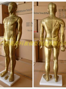 178CM人体针灸模型 针灸铜人模型 170CM经络穴R位人体经络模型铜