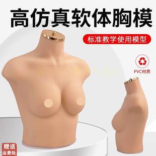 75B C罩杯h内衣模特女胸模软体模特道具仿真人模特内衣展示模特