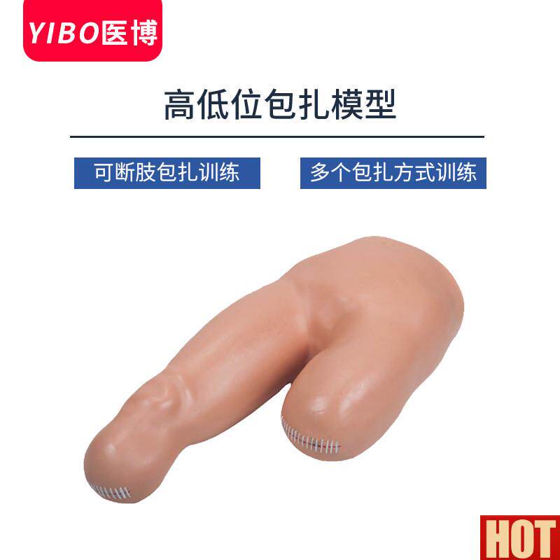 体断肢包扎处理模型 高低位包T扎训练模型 医用人体教学模型