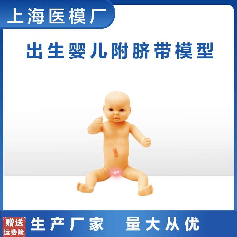 妇婴训练护理h高级出生婴儿附脐带模型皮肤柔软男婴女婴任选