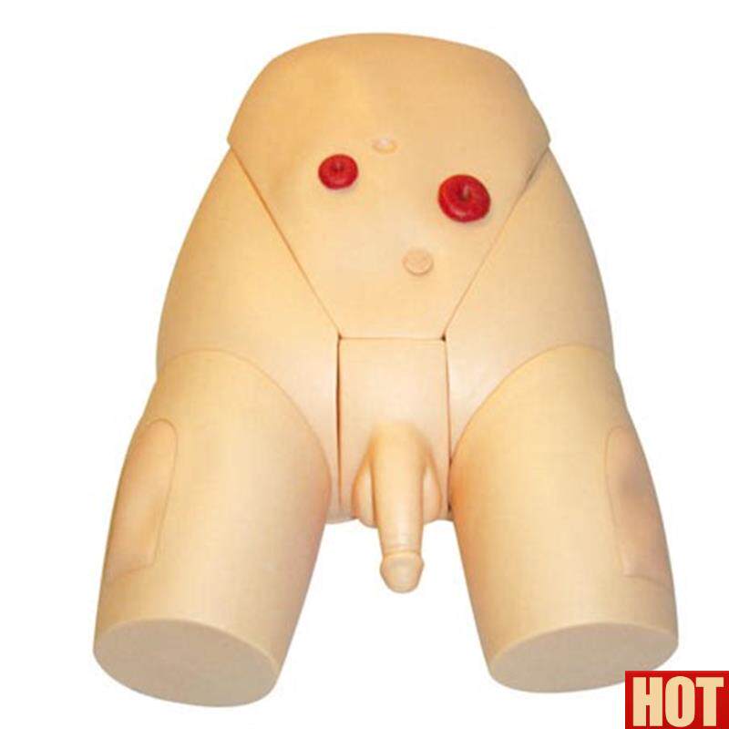 级整体男性导尿模型 人体导尿模型 男女性导L尿模型导尿示教模型