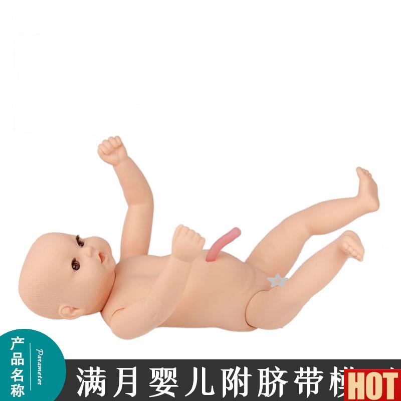 脐带高阶出生婴儿模型 专l业月嫂家政培训用娃娃