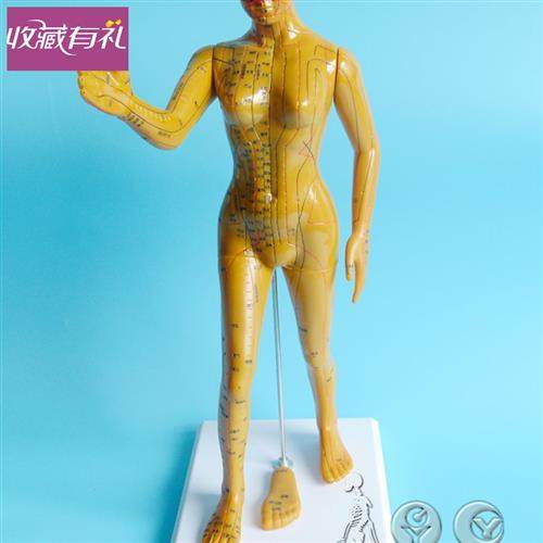 女性健美人体穴位模型铜色刻字中c医经络通针灸人体教学男女小人
