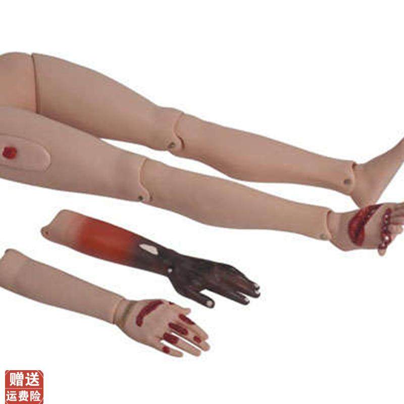 高级创伤四肢模型创伤护理烧伤急救模型护理Y模型男女导尿