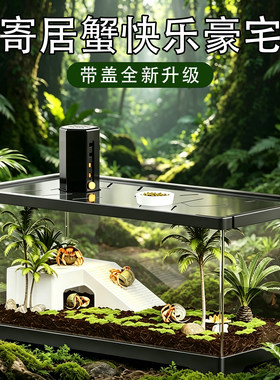 小型生态养殖缸带爬台龟蟹寄居