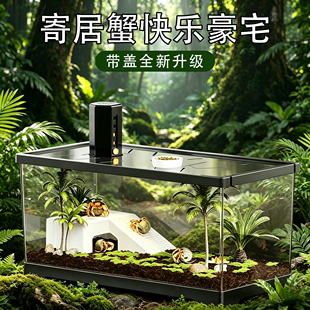 相手蟹螃蟹生态养殖箱带爬台乌龟饲养缸小型豪华别墅寄居蟹饲养箱
